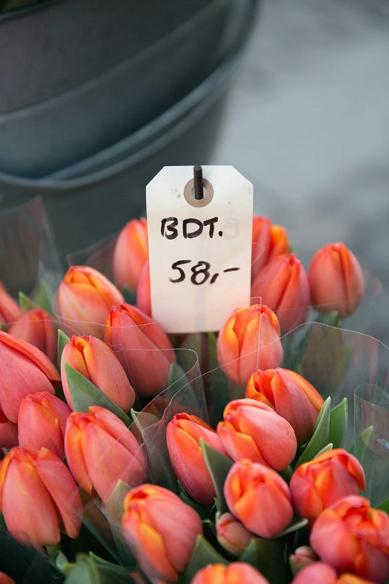 Tulipaner i bubdt til 58 kroner